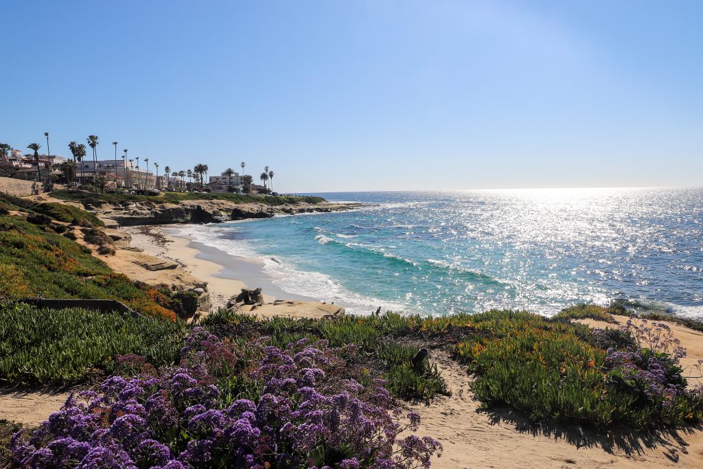 Sunny beach in California