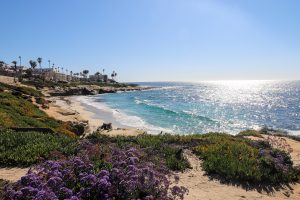 Sunny beach in California