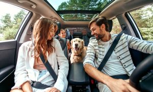 A family with a dog inside a car.